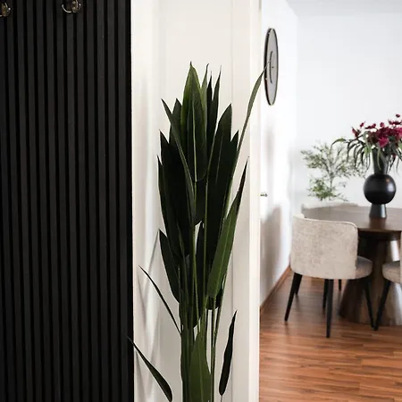 Im Stadtzentrum -junik *