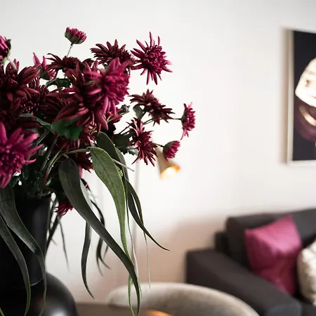 Im Stadtzentrum -junik Apartman *